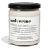 DICTIONARY DEFINITION CANDLE
